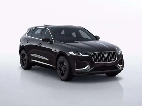 Used JAGUAR F-PACE Hybrid 2023 Ad 