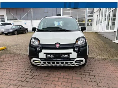 Used FIAT PANDA Petrol 2020 Ad 