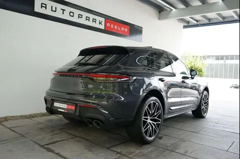 Annonce PORSCHE MACAN Essence 2023 d'occasion 