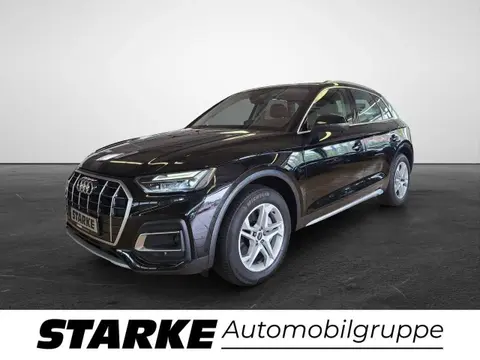 Annonce AUDI Q5 Diesel 2021 d'occasion 