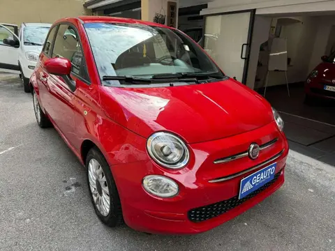 Used FIAT 500 Hybrid 2021 Ad 