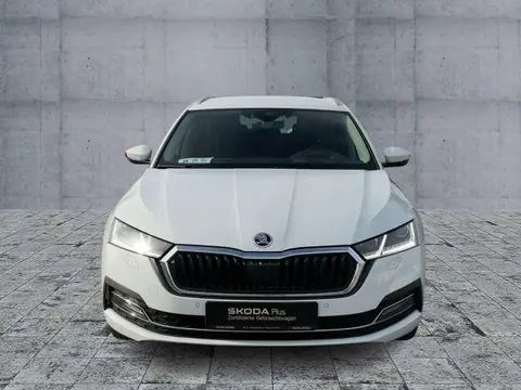 Used SKODA OCTAVIA Diesel 2021 Ad 