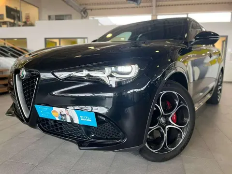 Used ALFA ROMEO STELVIO Petrol 2023 Ad 