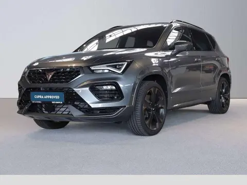 Used CUPRA ATECA Petrol 2024 Ad 