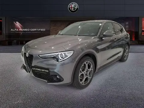 Used ALFA ROMEO STELVIO Diesel 2021 Ad 