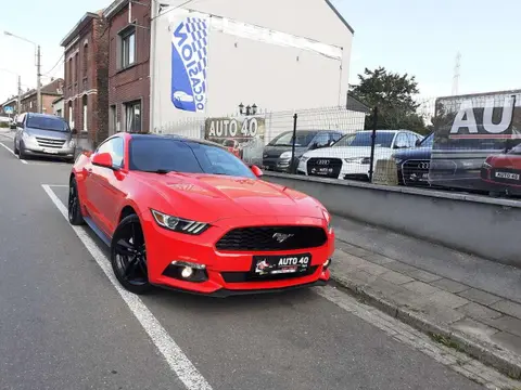 Annonce FORD MUSTANG Essence 2017 d'occasion 