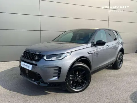 Annonce LAND ROVER DISCOVERY  2024 d'occasion 