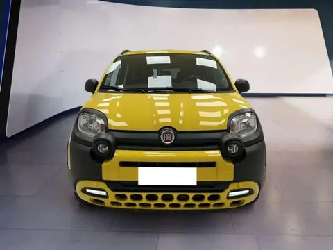 Annonce FIAT PANDA Hybride 2021 d'occasion 