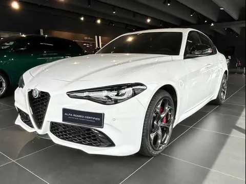 Used ALFA ROMEO GIULIA Diesel 2024 Ad 