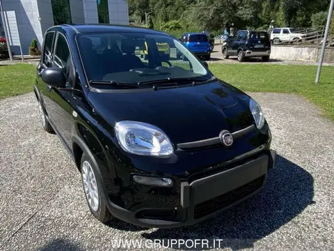 Annonce FIAT PANDA Hybride 2024 d'occasion 