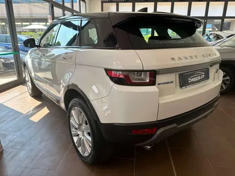 Annonce LAND ROVER RANGE ROVER EVOQUE Diesel 2017 d'occasion 