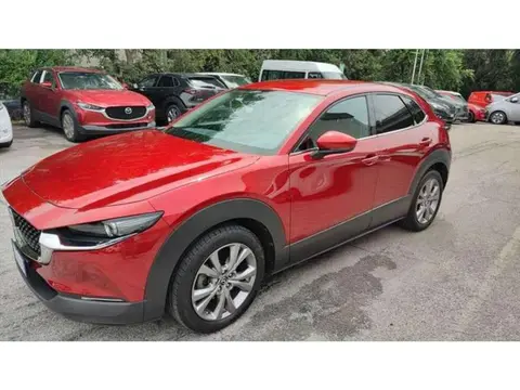 Annonce MAZDA CX-30 Essence 2019 d'occasion 