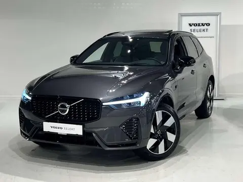 Used VOLVO XC60 Hybrid 2023 Ad 