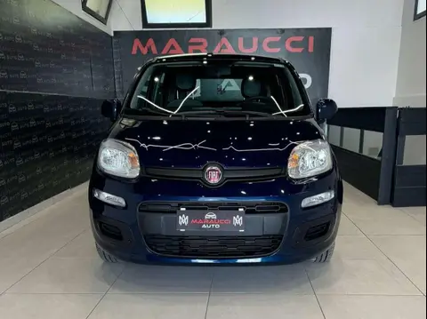 Annonce FIAT PANDA Hybride 2021 d'occasion 