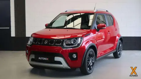 Annonce SUZUKI IGNIS Hybride 2024 d'occasion 