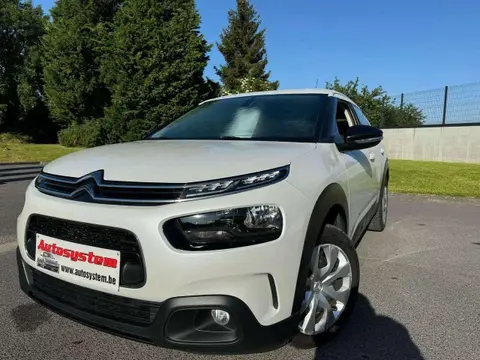 Annonce CITROEN C4 Diesel 2019 d'occasion 