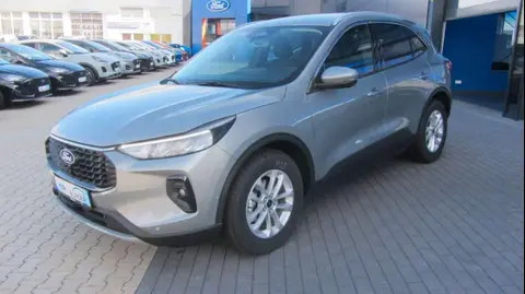 Used FORD KUGA Petrol 2024 Ad 