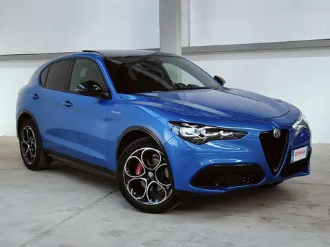 Annonce ALFA ROMEO STELVIO Diesel 2024 d'occasion 