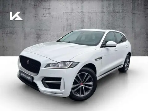 Annonce JAGUAR F-PACE Diesel 2019 d'occasion 