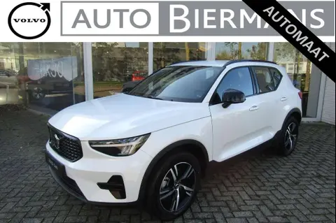 Used VOLVO XC40 Hybrid 2024 Ad 