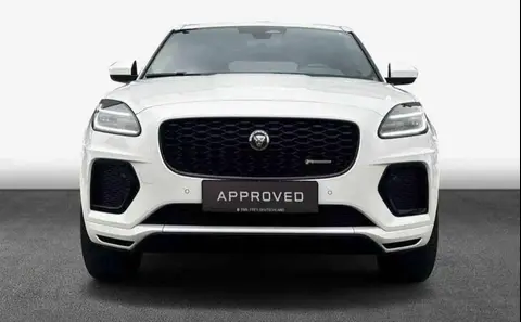 Used JAGUAR E-PACE Hybrid 2023 Ad 