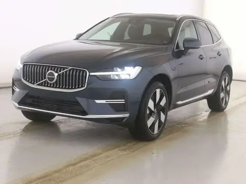 Annonce VOLVO XC60 Hybride 2024 d'occasion 