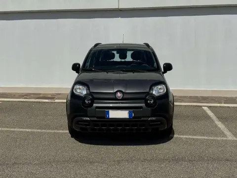 Annonce FIAT PANDA Hybride 2021 d'occasion 