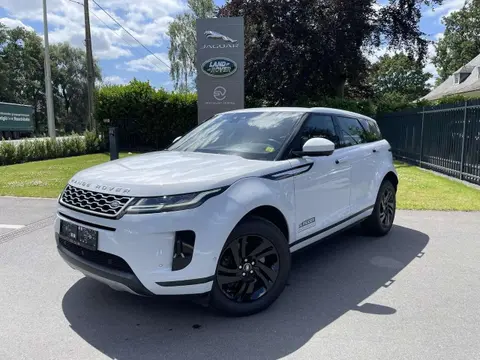 Used LAND ROVER RANGE ROVER EVOQUE Petrol 2020 Ad 