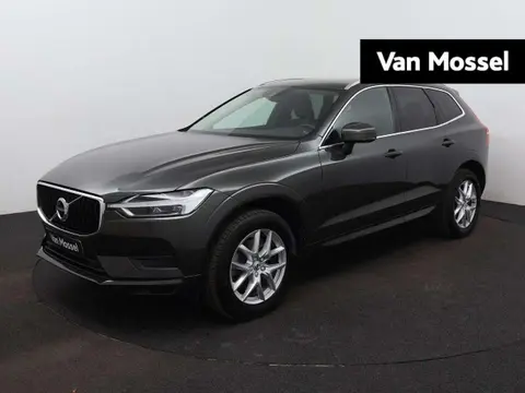 Annonce VOLVO XC60 Diesel 2019 d'occasion Belgique