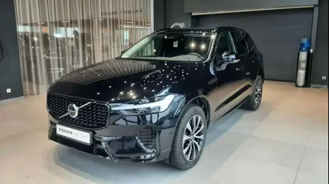 Used VOLVO XC60 Hybrid 2023 Ad Belgium