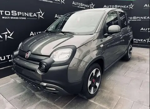 Used FIAT PANDA Hybrid 2023 Ad 