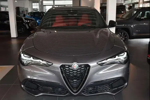 Used ALFA ROMEO STELVIO Diesel 2024 Ad 