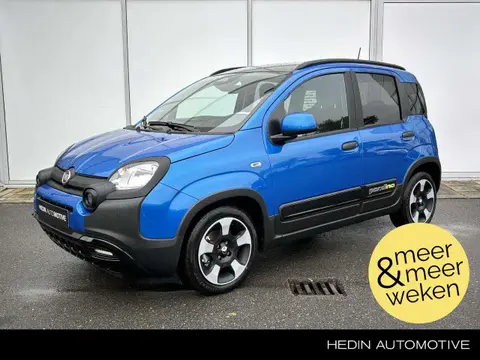 Used FIAT PANDA Petrol 2024 Ad 