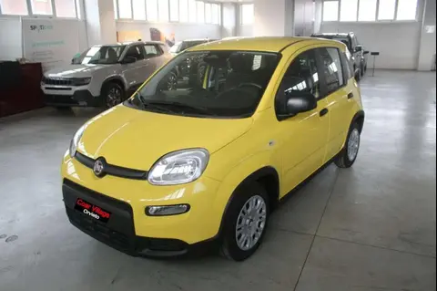 Annonce FIAT PANDA Hybride 2024 d'occasion 