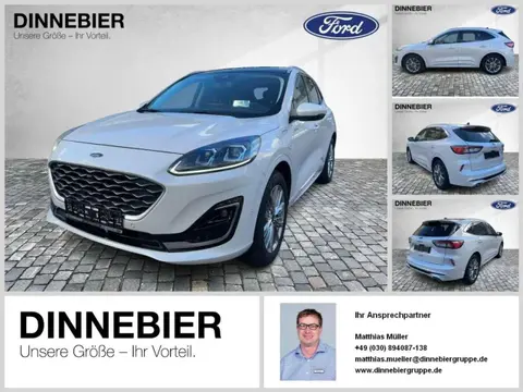 Used FORD KUGA Hybrid 2021 Ad 