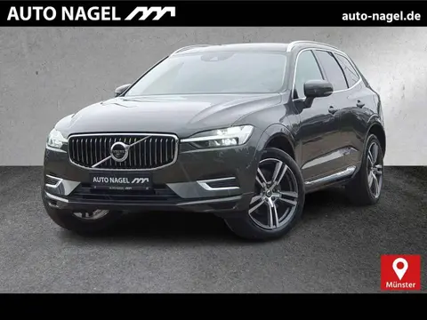 Used VOLVO XC60 Hybrid 2021 Ad 