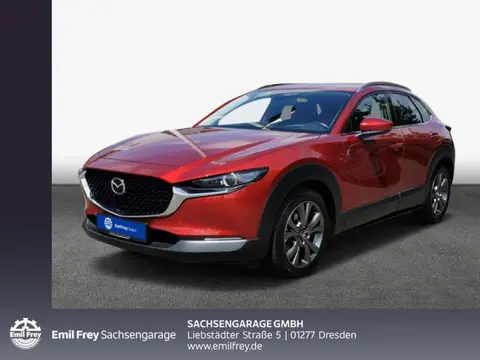 Annonce MAZDA CX-30 Essence 2021 d'occasion 