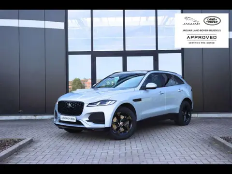 Annonce JAGUAR F-PACE Hybride 2024 d'occasion 