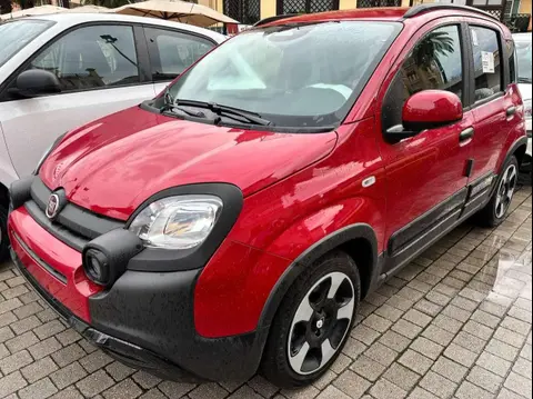 Used FIAT PANDA Hybrid 2024 Ad 