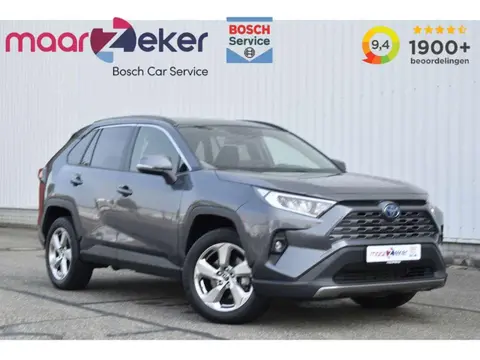 Used TOYOTA RAV4 Hybrid 2023 Ad 