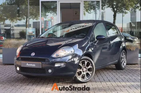 Annonce FIAT PUNTO Essence 2017 d'occasion 