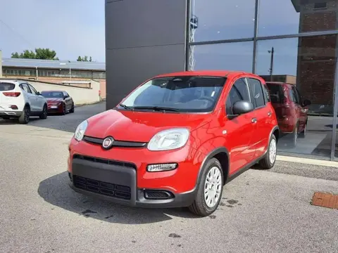 Annonce FIAT PANDA Hybride 2024 d'occasion 