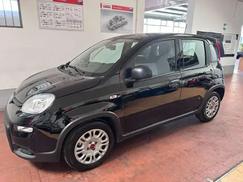 Used FIAT PANDA Hybrid 2023 Ad 