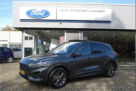 Used FORD KUGA Hybrid 2022 Ad 