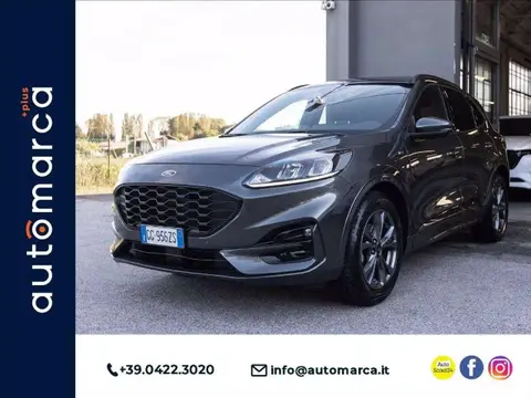 Used FORD KUGA Petrol 2021 Ad 