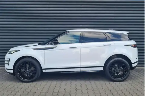 Used LAND ROVER RANGE ROVER EVOQUE Diesel 2021 Ad 