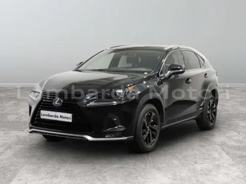 Annonce LEXUS NX Hybride 2021 d'occasion 