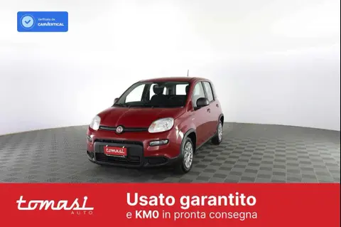 Used FIAT PANDA Hybrid 2024 Ad 