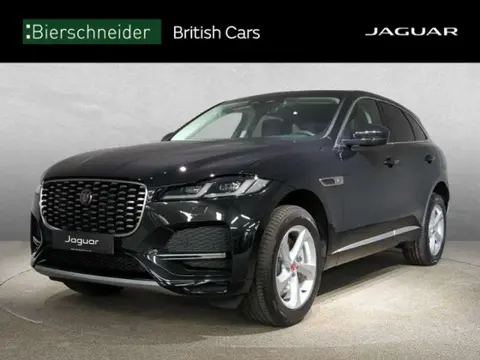 Annonce JAGUAR F-PACE Hybride 2023 d'occasion 