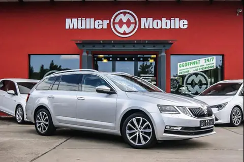 Annonce SKODA OCTAVIA Diesel 2019 d'occasion 